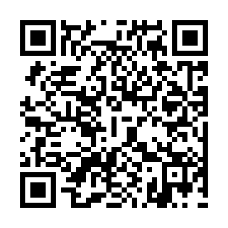 QR code for DI 3983