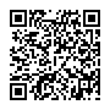 QR code for DI 4119
