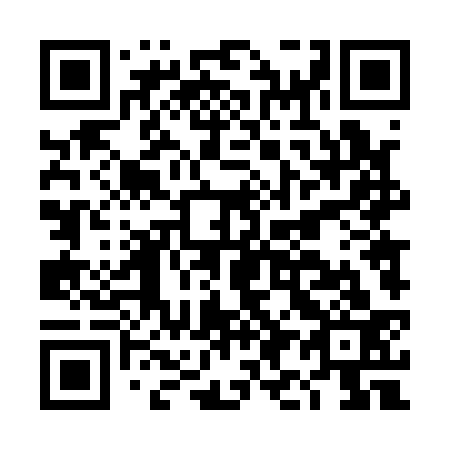 QR code for DI 4133