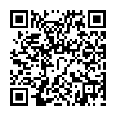 QR code for DI 4228