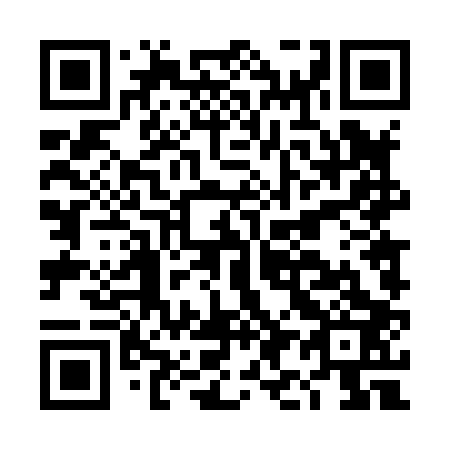 QR code for DI 4803