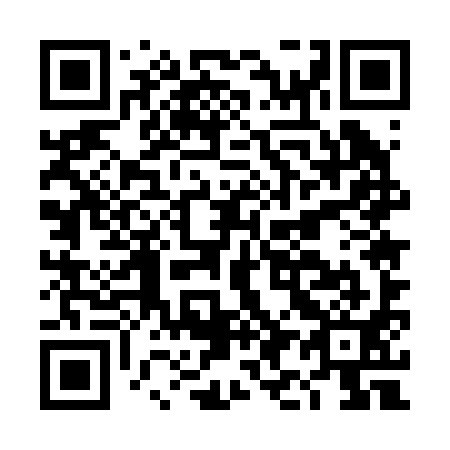 QR code for DI 5291