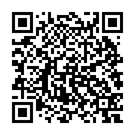 QR code for DI 6233