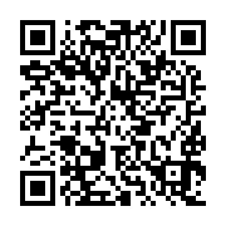 QR code for DI 6993