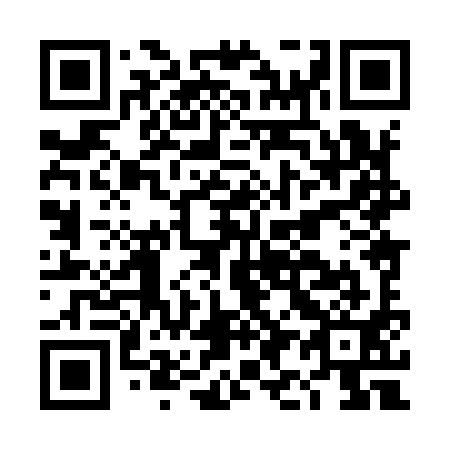 QR code for DI 8991