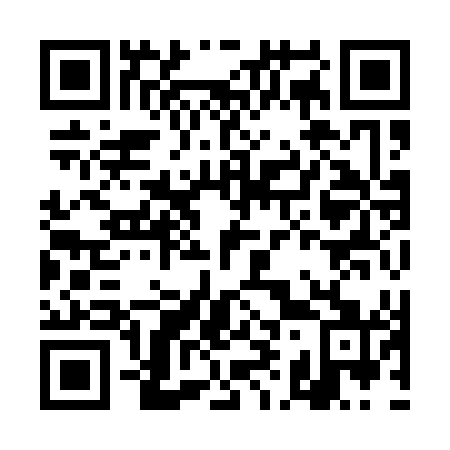 QR code for DI 9141