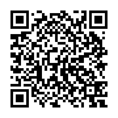 QR code for DI 9239
