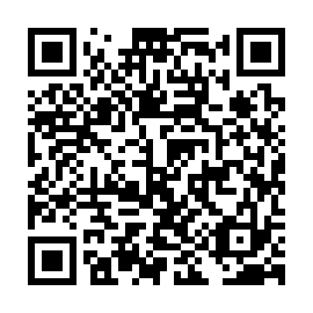 QR code for DI 9333