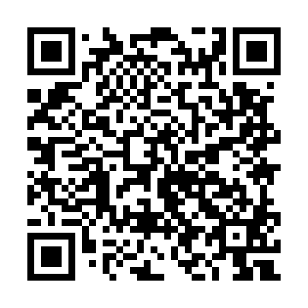QR code for DI 9581
