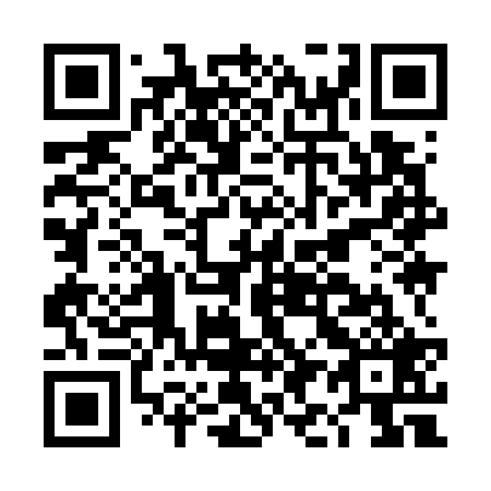 QR code for DI 9729