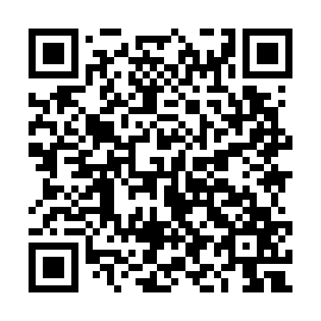 QR code for DI 9767