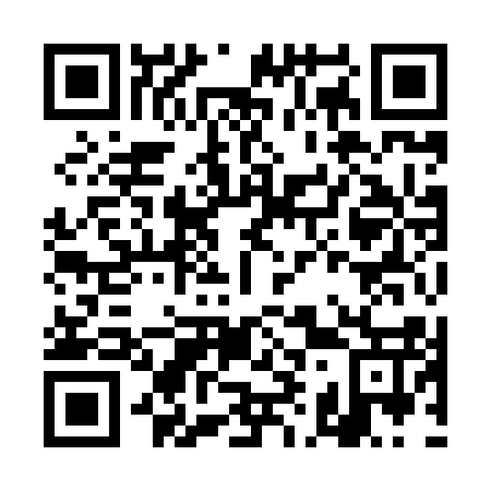 QR code for DI 9817