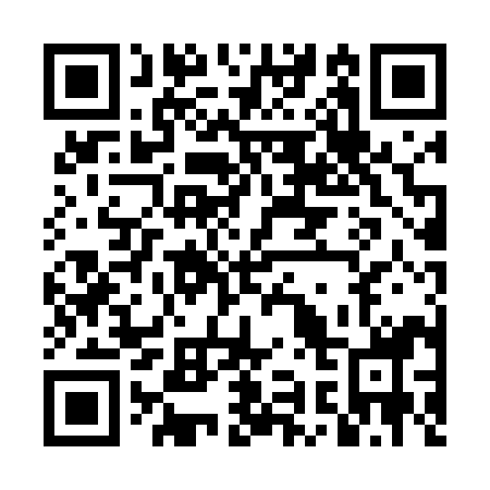 QR code for DI0498