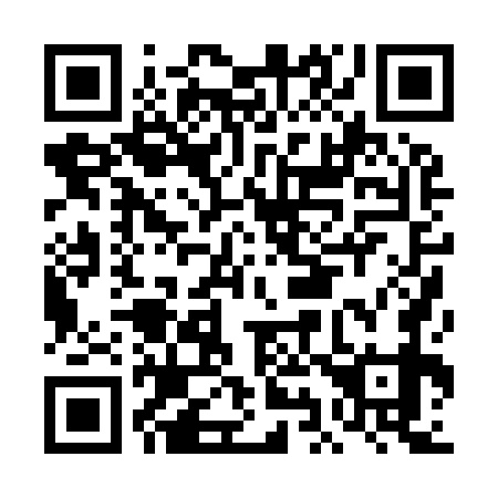 QR code for DI0979