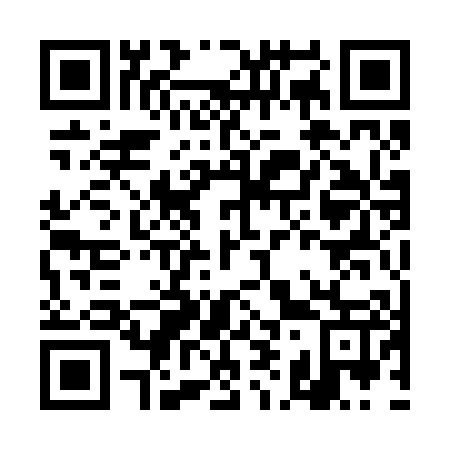 QR code for DI1207