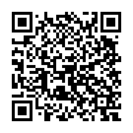 QR code for DI2462