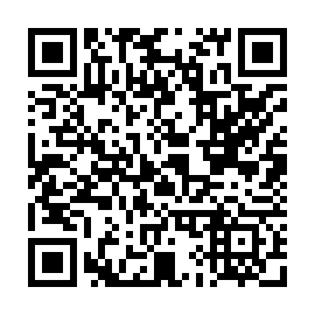 QR code for DI3863
