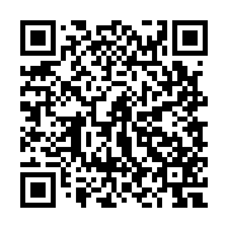 QR code for DI4157