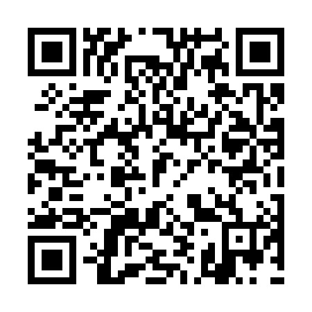 QR code for DI4384