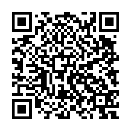 QR code for DI4433