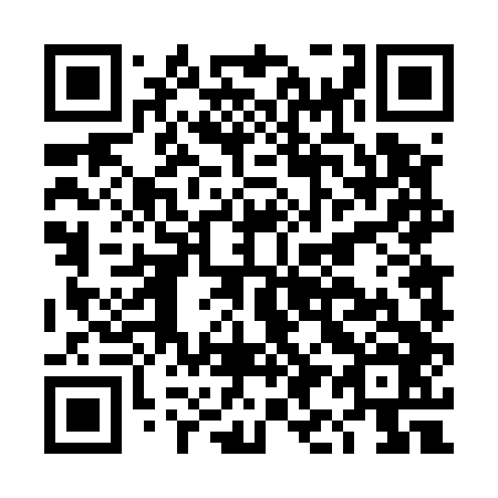 QR code for DI4546