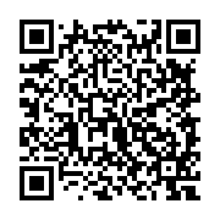 QR code for DI4895