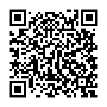 QR code for DI6511