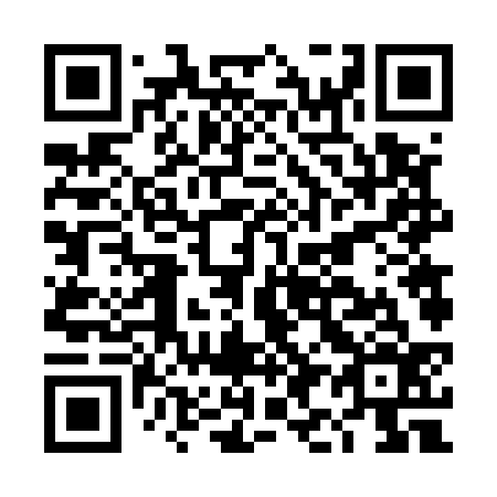 QR code for DI6536