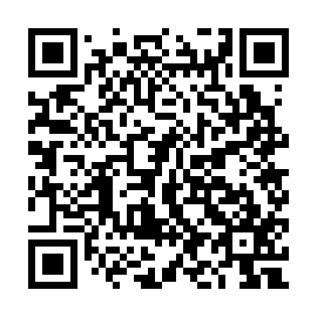 QR code for DI7317