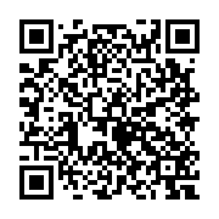 QR code for DI9153