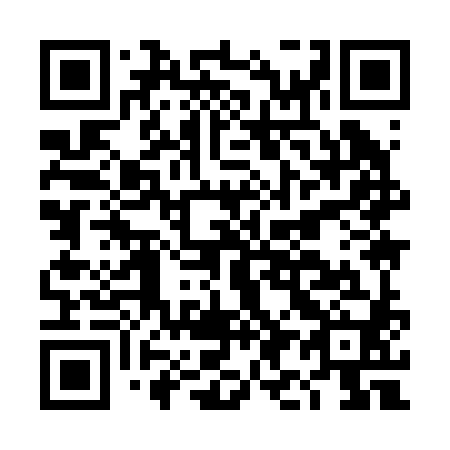 QR code for DI9280