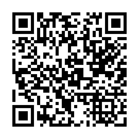 QR code for DI9323