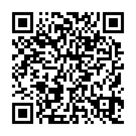 QR code for DI9331