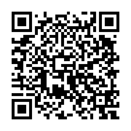 QR code for DI9498