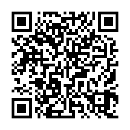 QR code for DI9809
