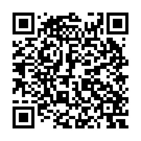 QR code for DIA 246