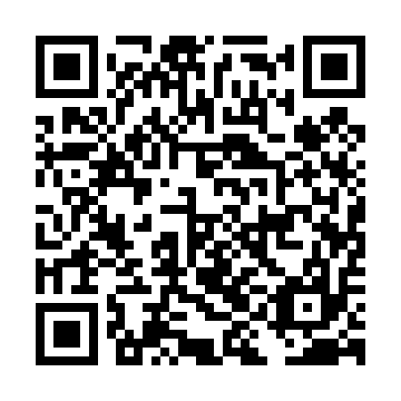 QR code for DIA 417