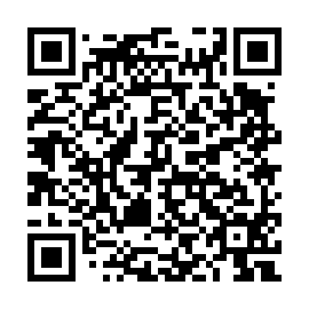 QR code for DIA 494