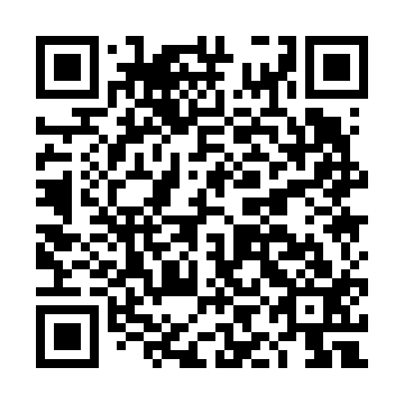 QR code for DIA 613