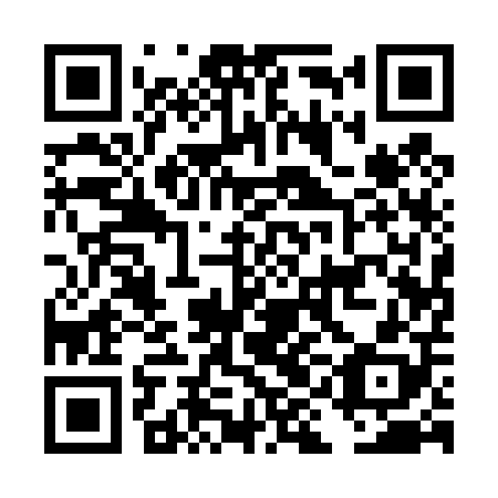 QR code for DIA408