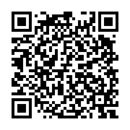 QR code for DIB495
