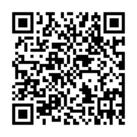 QR code for DIB991