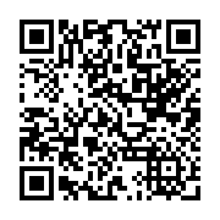 QR code for DIC 316