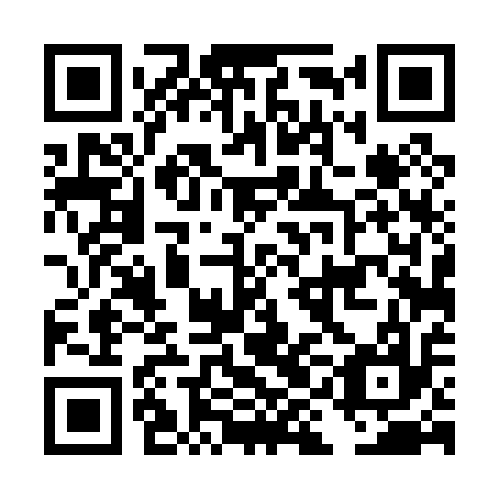 QR code for DID017