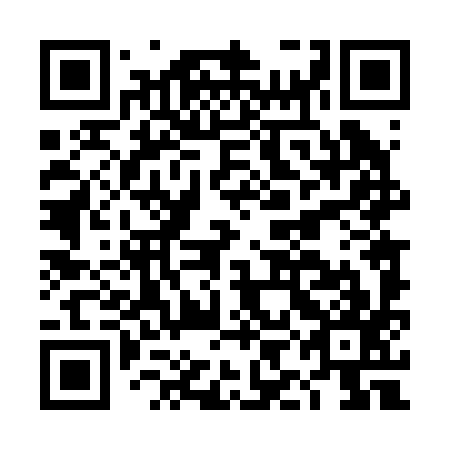 QR code for DID297