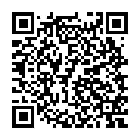 QR code for DID310