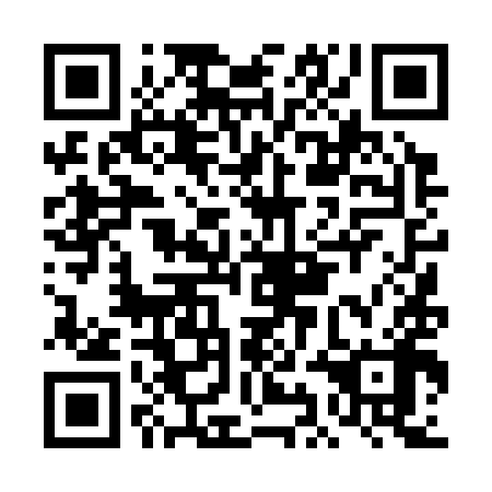 QR code for DID398