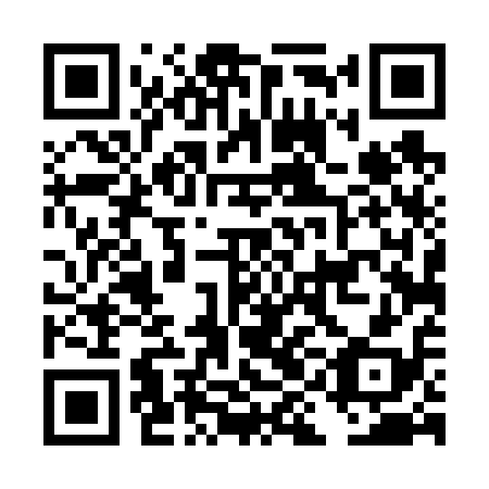 QR code for DID618