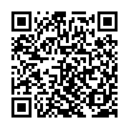 QR code for DIE 290