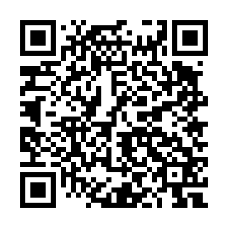 QR code for DIE 462